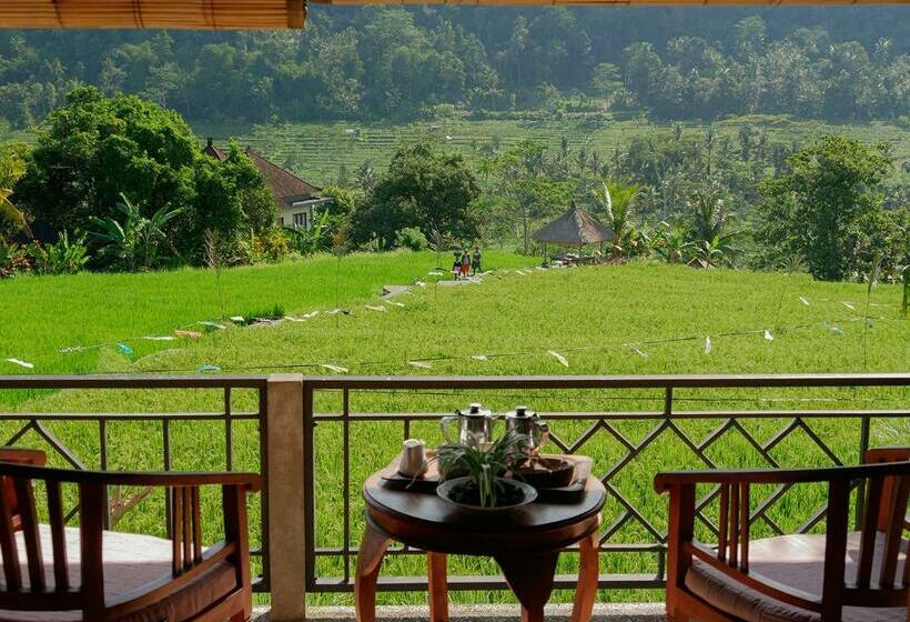 스탠다드 방갈로, Embang Homestay