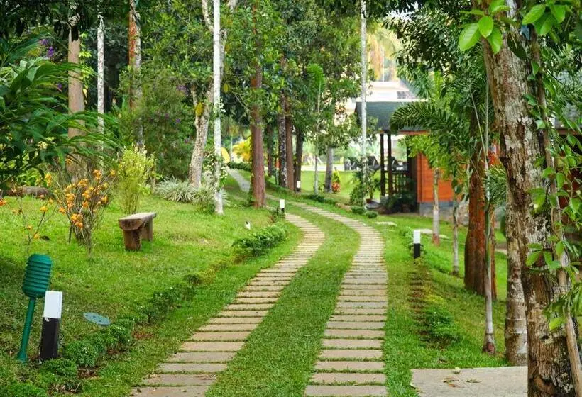 スタンダードトリプルルーム, Room In Guest Room   Lakerose Wayanad Resort   Superior Lake View