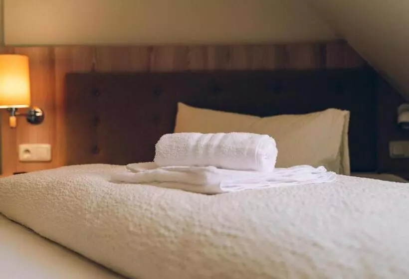 スタンダードシングルルーム, Adelheid Hotel Garni