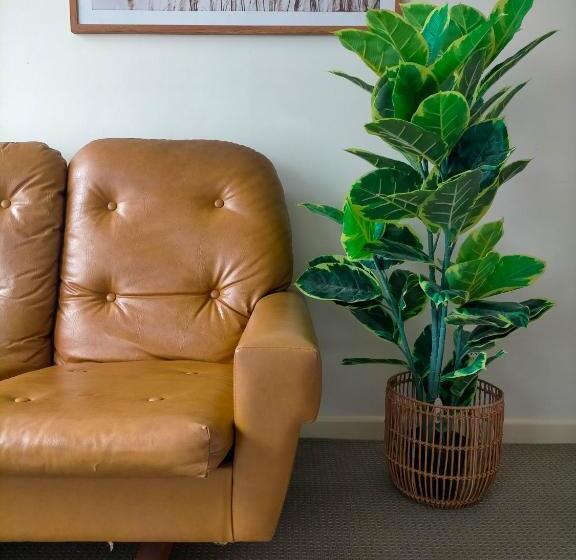 إستوديو قياسى سرير كينج, Boutique Motel