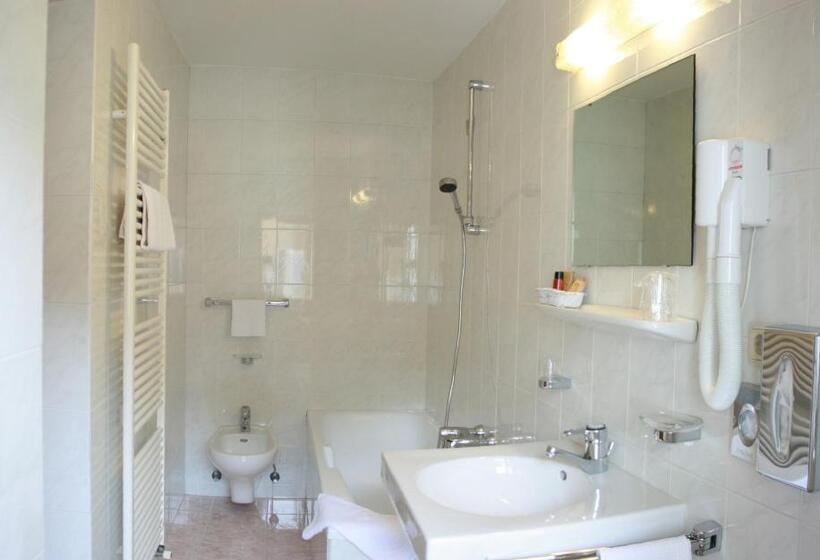 غرفة قياسية فردية, Dolomiti Madonna