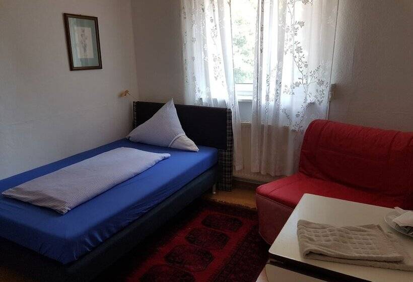 Номер Стандарт Индивидуальный, Goethe