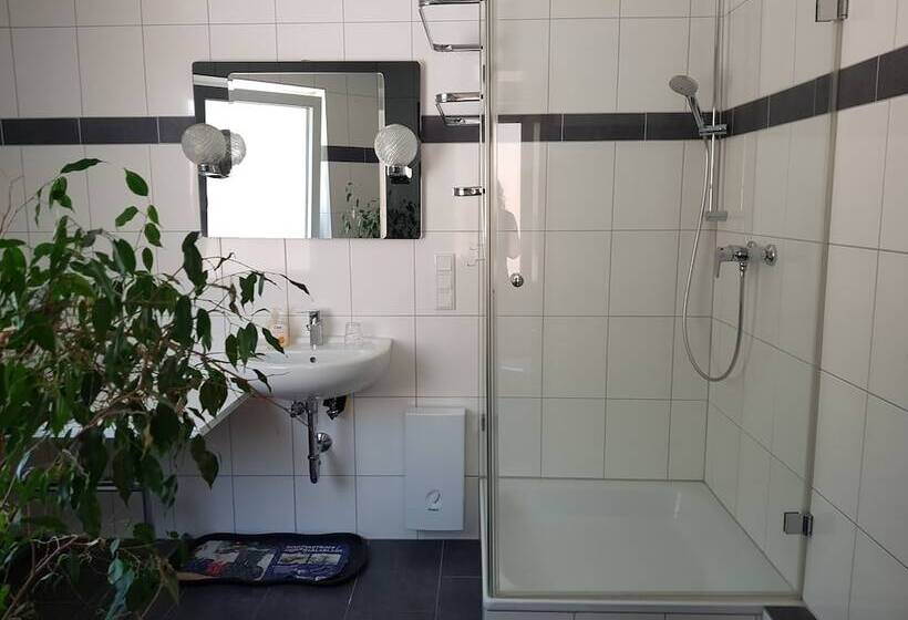 Номер Стандарт, Goethe