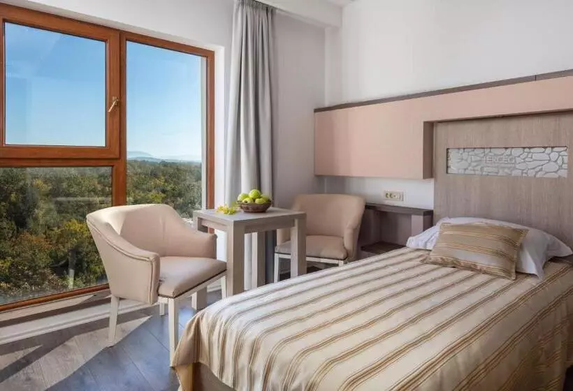اتاق استاندارد یک نفره, Herceg Etno Selo Međugorje