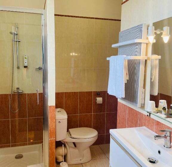 스탠다드 싱글 룸, Logis Le Passiflore Cognac