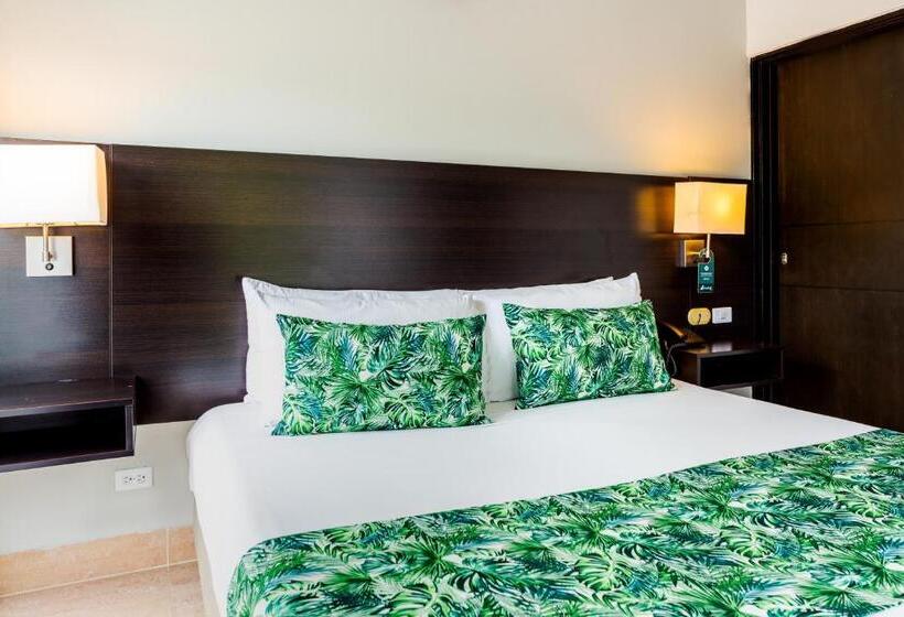 スタンダードルーム, Manantial Melgar