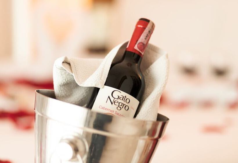 スタンダードルーム, Manantial Melgar