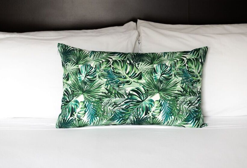 スタンダードトリプルルーム, Manantial Melgar