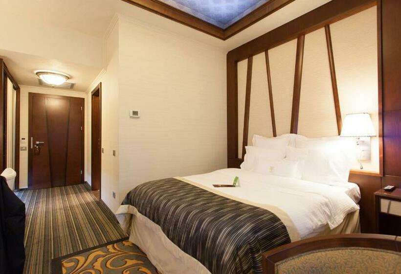 Номер Стандарт Индивидуальный, Metropolis