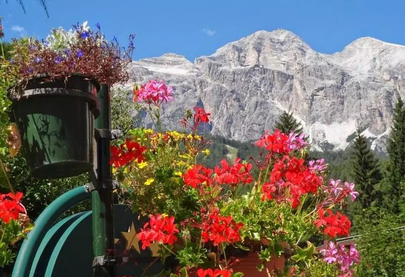 اتاق استاندارد یک نفره, Pontechiesa
