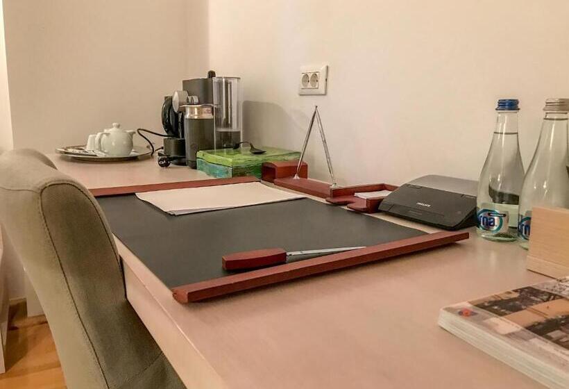 جناح ديلوكس, Satu Mare City