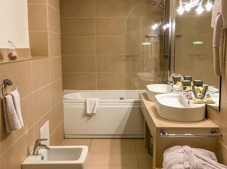 جناح ديلوكس, Satu Mare City