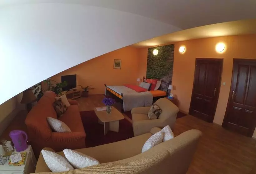 Camera Standard, Atrium
