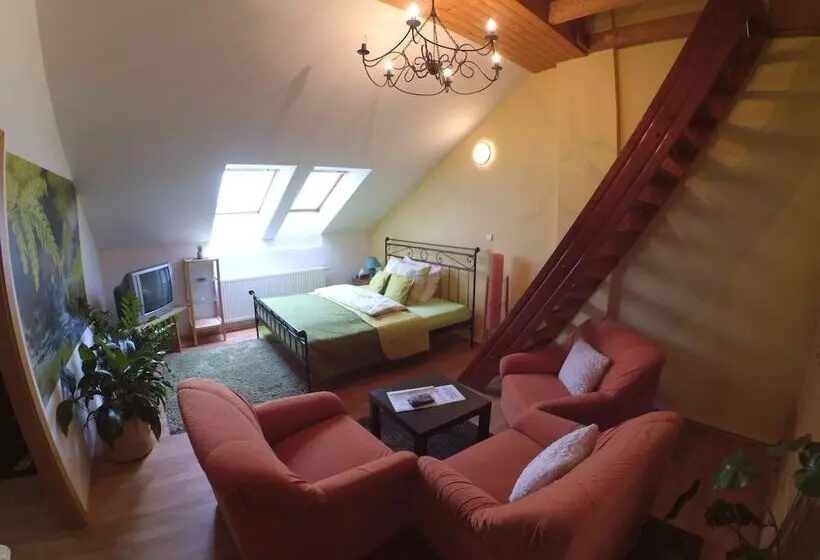 Camera Standard, Atrium