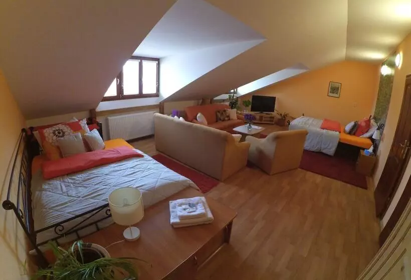 Camera Standard, Atrium