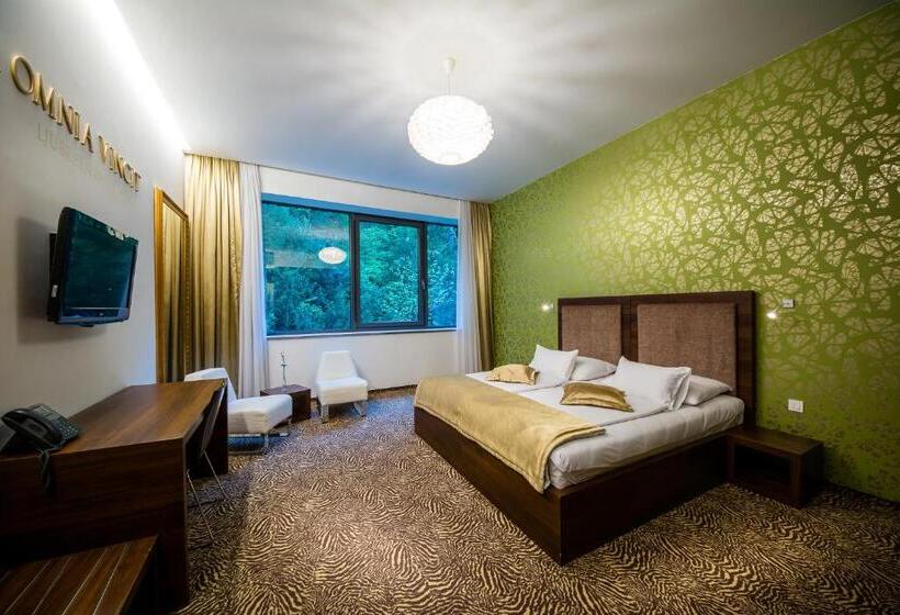 اتاق سوپریور, Rimske Terme Resort Hotel Rimski Dvor