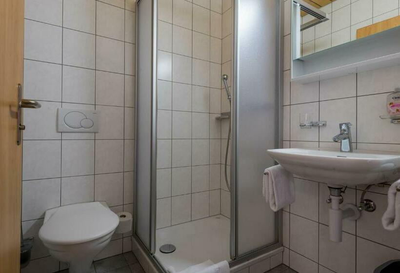 חדר סטנדרט יחיד, Sport Resort Fiesch, Garni Aletsch