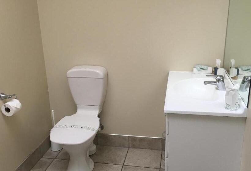 חדר דחוקס עם מיטת קינג, Fairway Motel & Apartments