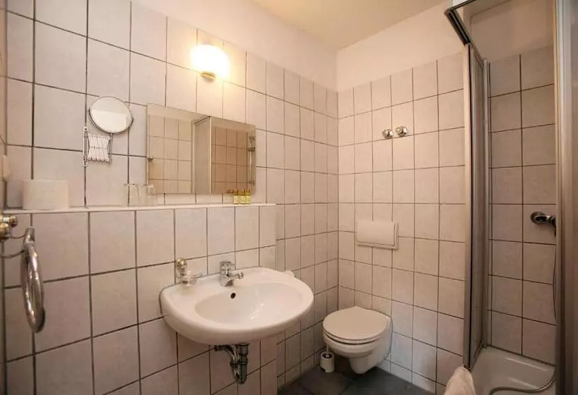 コンフォートシングルルーム, Gut Hotel Stadt Beelitz