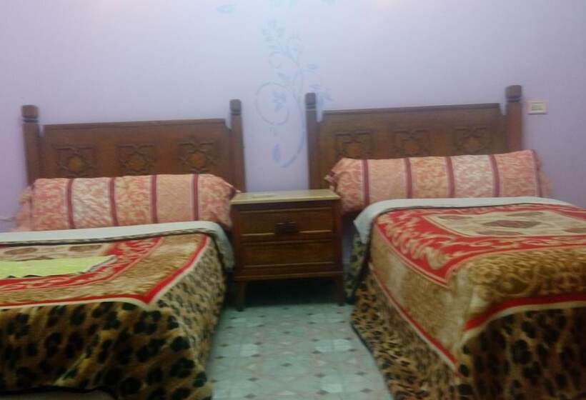 اتاق استاندارد, Cairo Moon Hostel