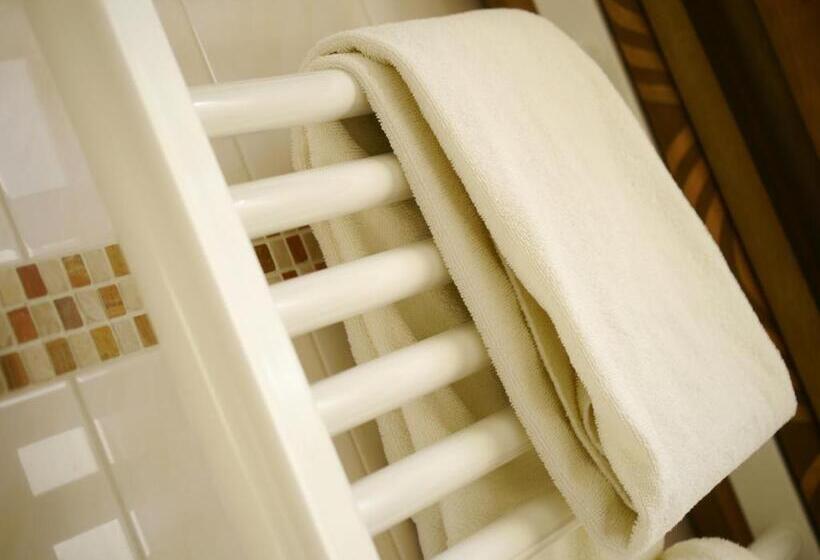 חדר קומפורט, De Maasparel Arcen   Venlo