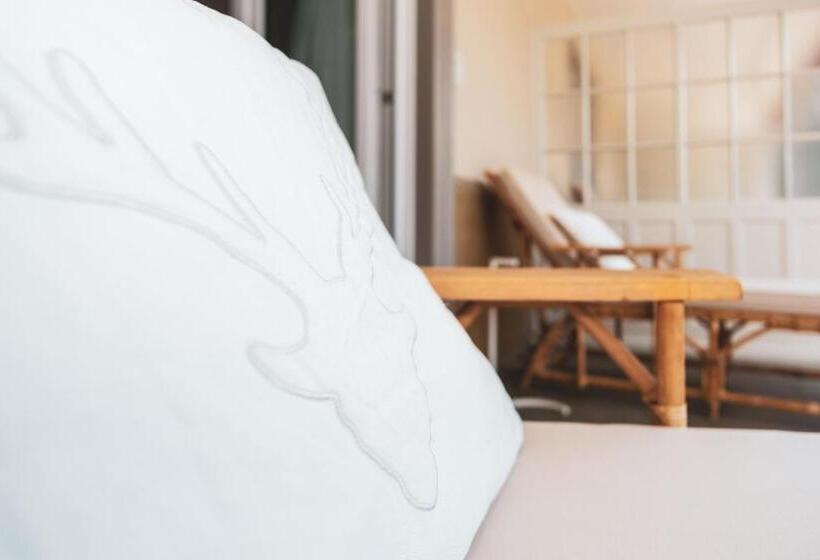 Номер Стандарт Индивидуальный с Балконом, Edelweiss