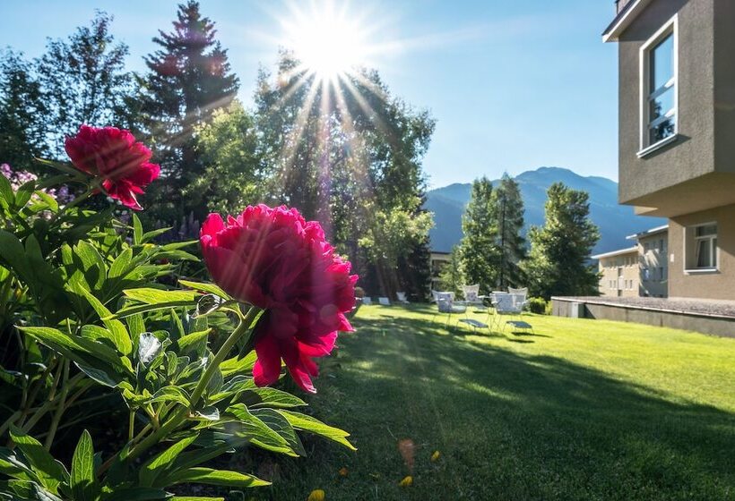 Номер Deluxe, Edelweiss