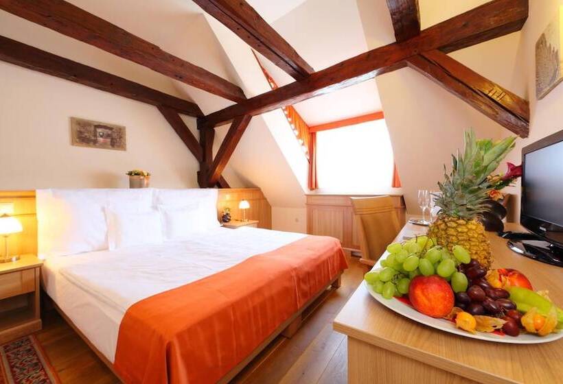 StandaardKamer, Historia & Historante