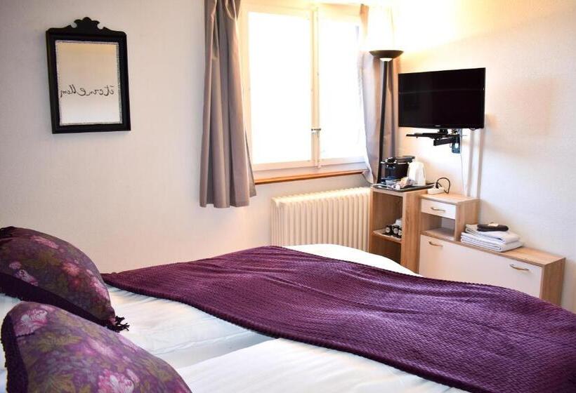 חדר סטנדרט, Hostellerie D'orzival