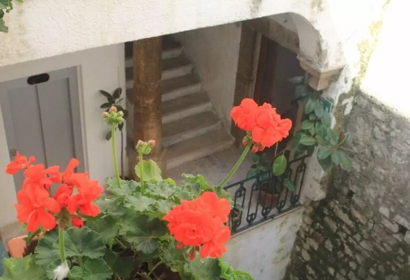 اتاق استاندارد سه نفره, Miramare