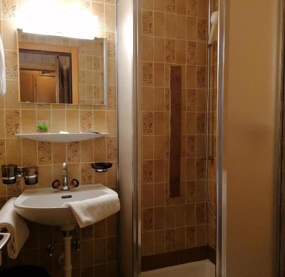 חדר אקונומי, Petit Helvetia Budget