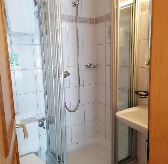 חדר סטנדרט, Petit Helvetia Budget