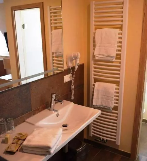 اتاق استاندارد, Logis Hotel Restaurant Dimmer
