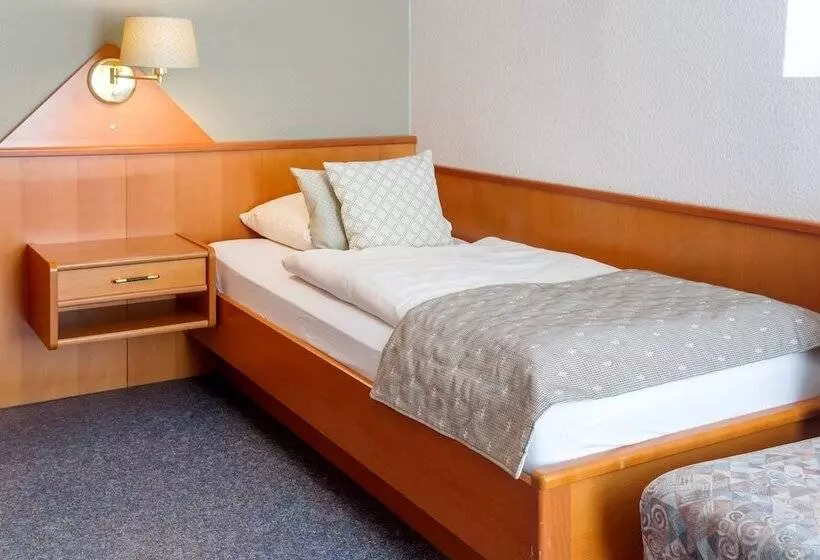 اتاق استاندارد یک نفره, Logis Hotel Restaurant Dimmer