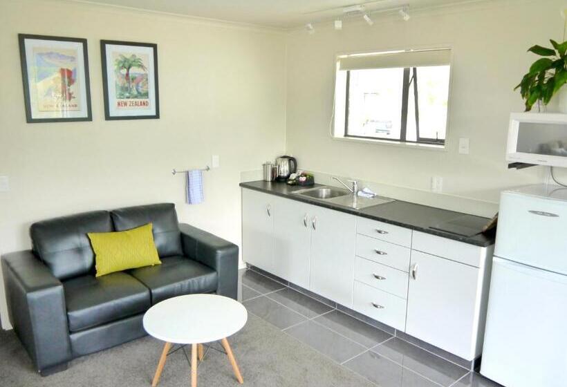 إستوديو قياسى ذو إطلالة, The Terrace