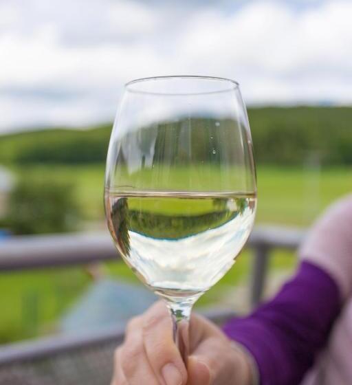 Апартаменты 1 Спальня, Landhotel Schöll