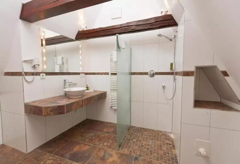 デラックスルーム, Romantik Hotel Scheelehof Stralsund
