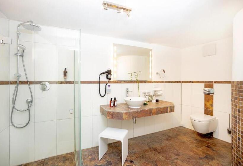 Полулюкс, Romantik Hotel Scheelehof Stralsund