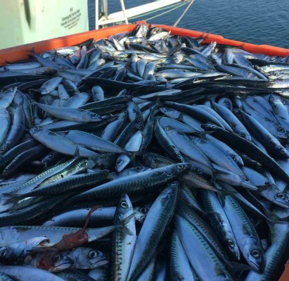 Апартаменты 1 Спальня Вид на Море, Appartement Design Iii Port Du Rosmeur Douarnenez