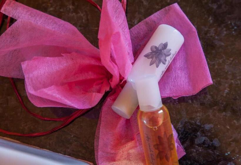 带阳台的豪华间, Muralha House