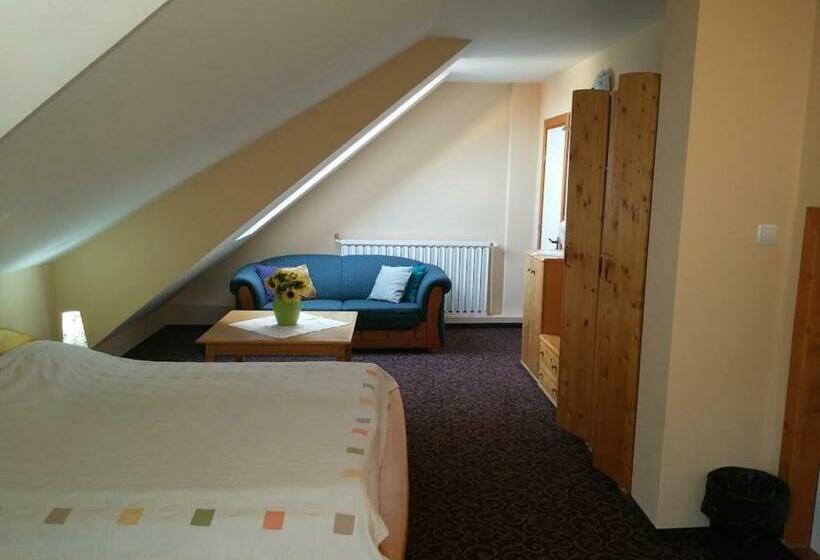 Номер Стандарт, Pensiunea Casa Tepes