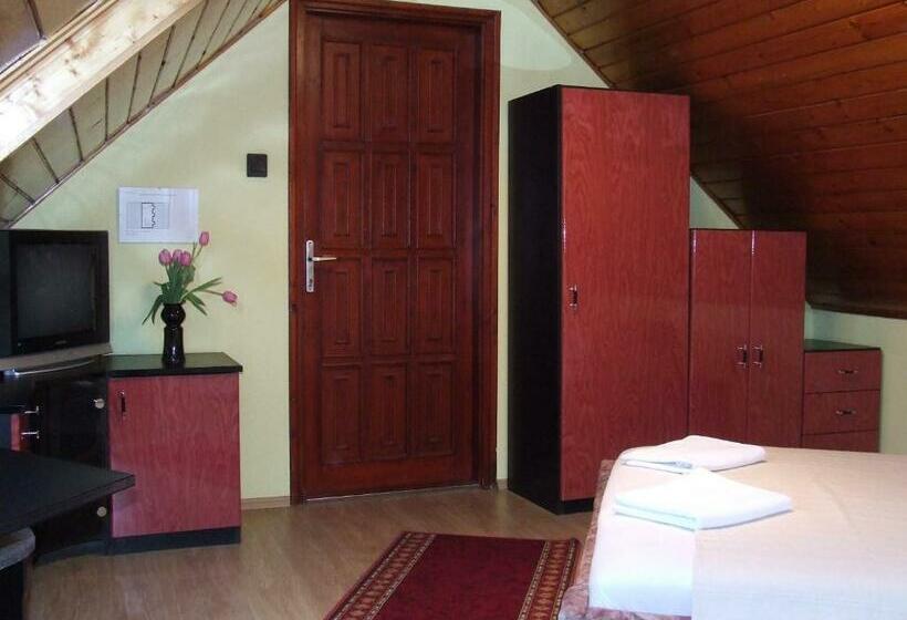 スタンダードシングルルーム, Péterfia Panzió