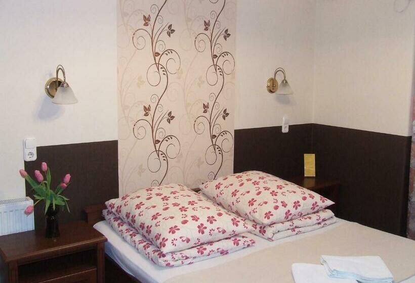 スタンダードシングルルーム, Péterfia Panzió