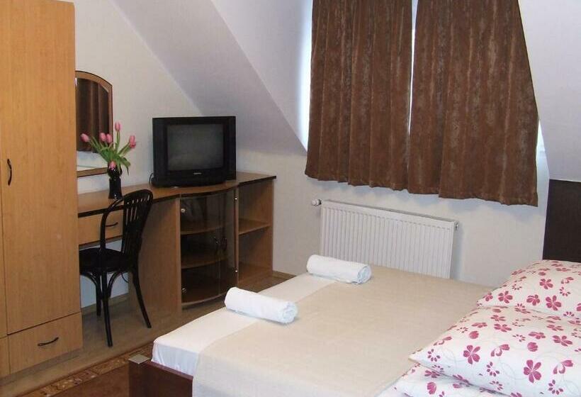 スタンダードシングルルーム, Péterfia Panzió