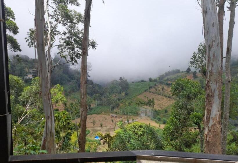 חדר סטנדרט עם מרפסת, Silent Nest