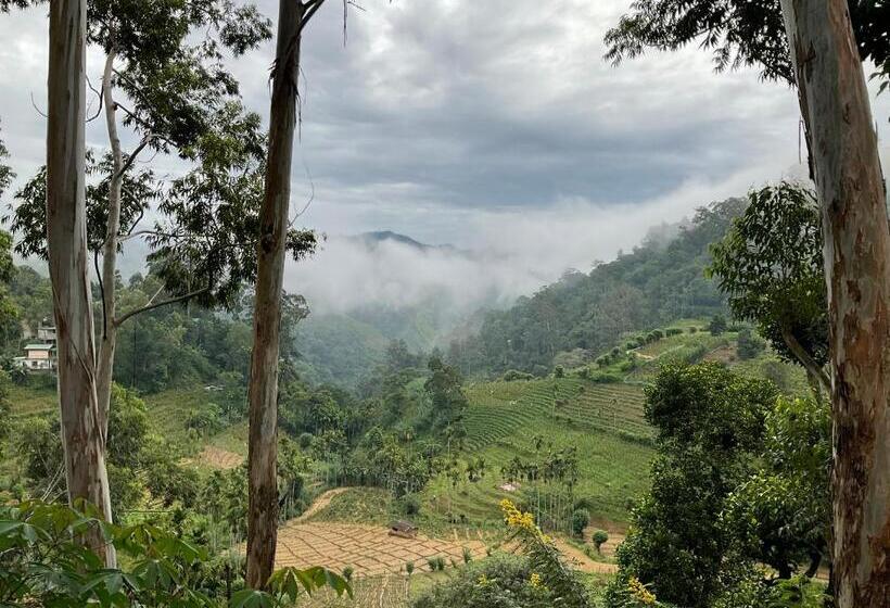 חדר סטנדרט עם מרפסת, Silent Nest