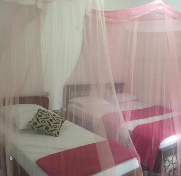 חדר משפחתי, Silent Nest