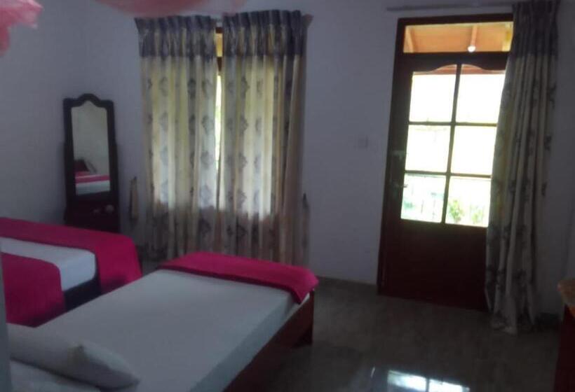 חדר משפחתי, Silent Nest