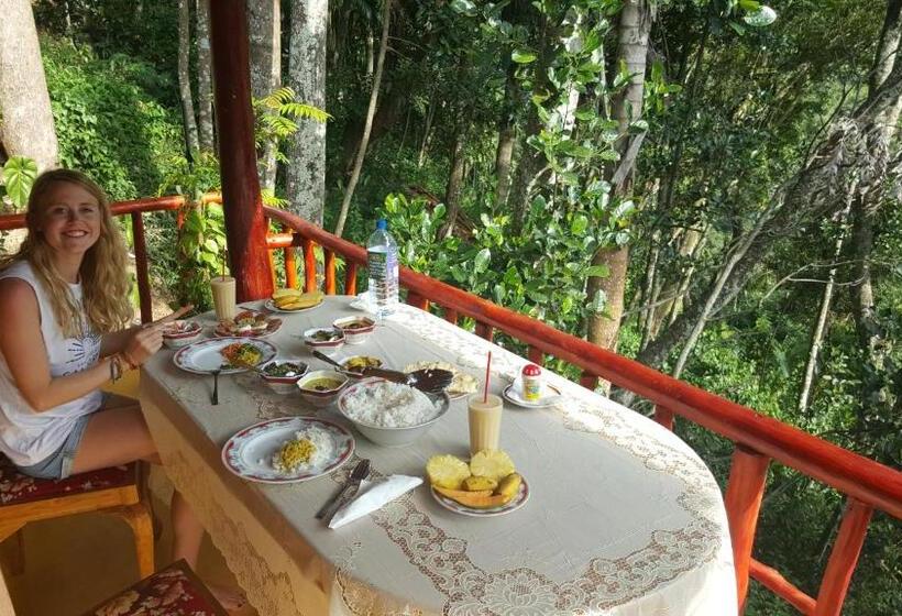 חדר משפחתי, Silent Nest