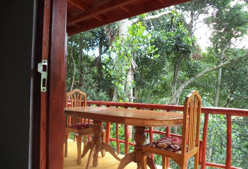 חדר משפחתי, Silent Nest